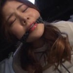 倒錯美女教師 裏取引で快楽の罠に堕ちた新任花宮レイ