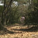 美少女の露出放尿！お外でのおしっこがたまらない理由とは？